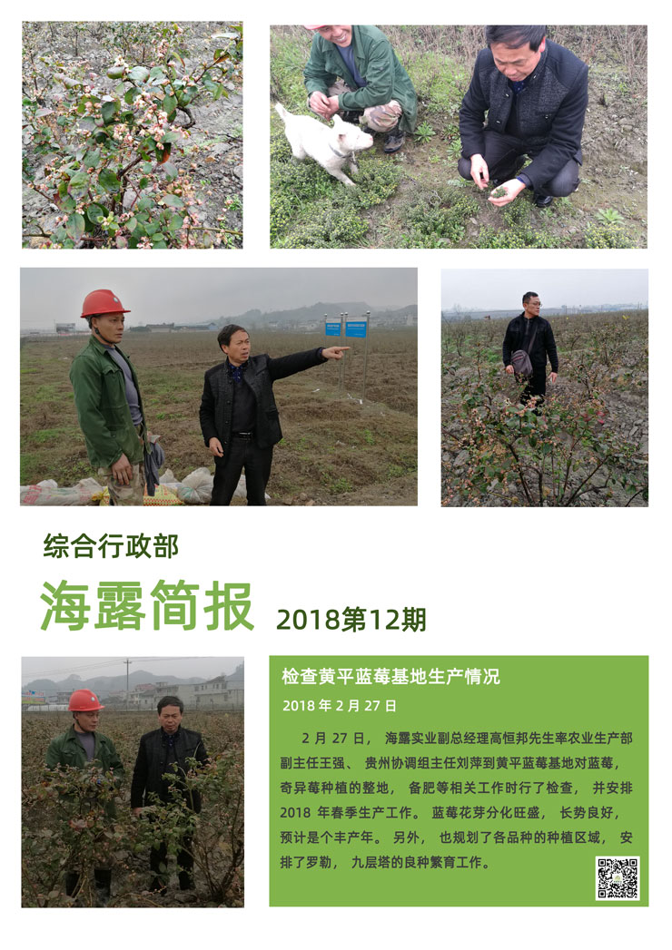 鉴黑担保网(jhdbw)·最具权威唯一维权担保平台