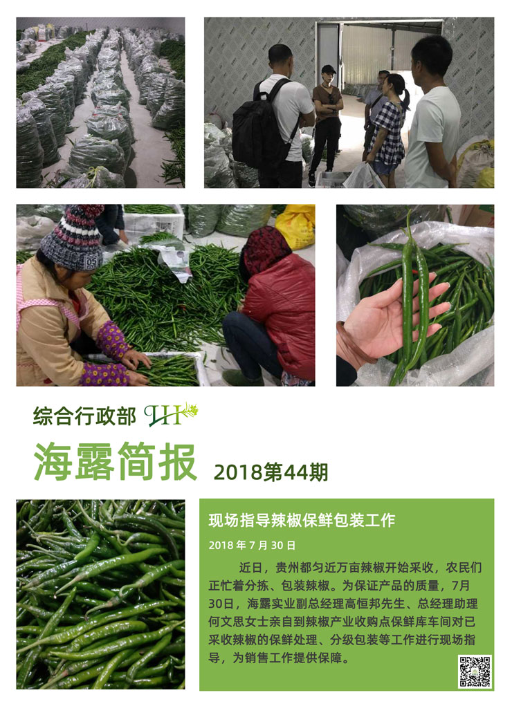 鉴黑担保网(jhdbw)·最具权威唯一维权担保平台