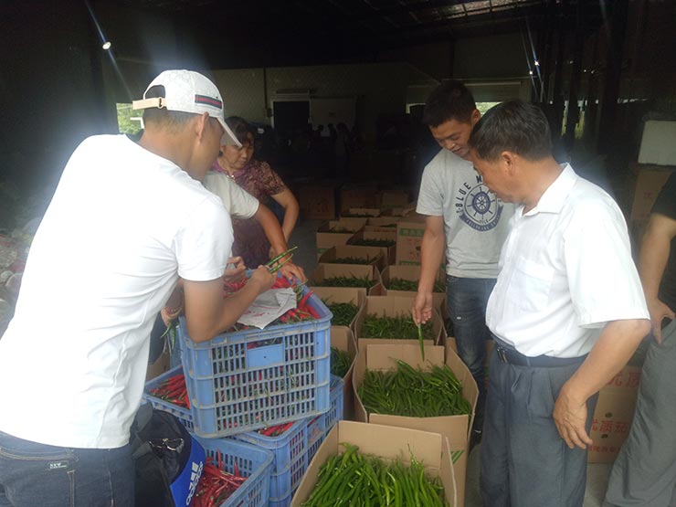 鉴黑担保网(jhdbw)·最具权威唯一维权担保平台