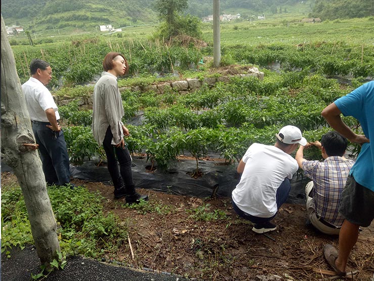 鉴黑担保网(jhdbw)·最具权威唯一维权担保平台