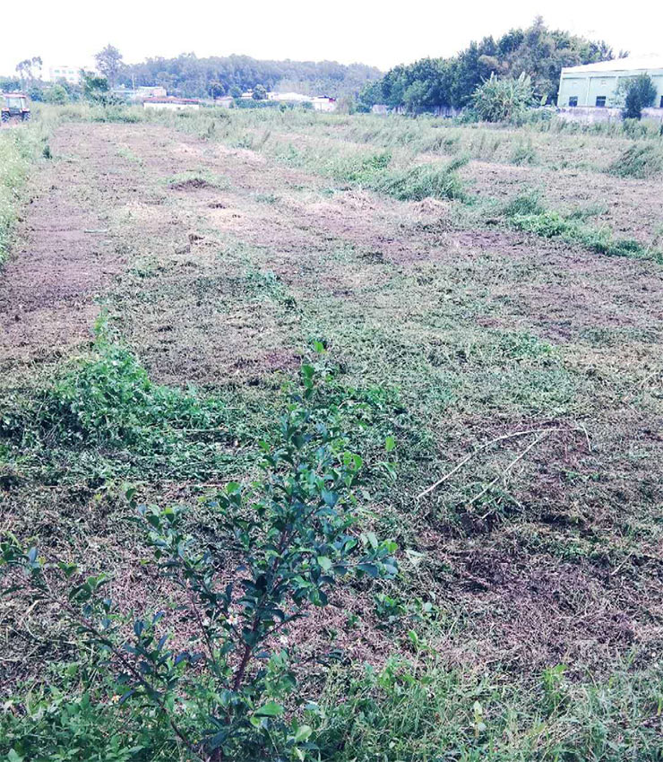 鉴黑担保网(jhdbw)·最具权威唯一维权担保平台