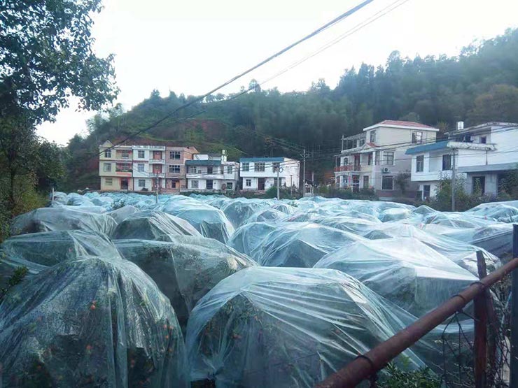 鉴黑担保网(jhdbw)·最具权威唯一维权担保平台