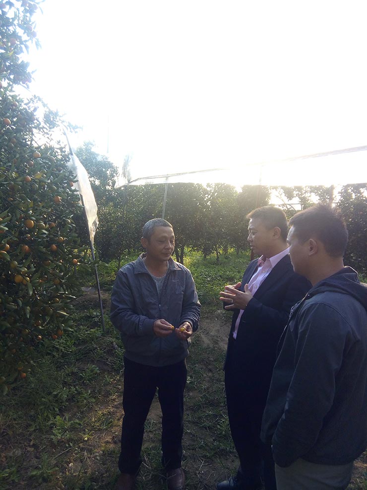 鉴黑担保网(jhdbw)·最具权威唯一维权担保平台