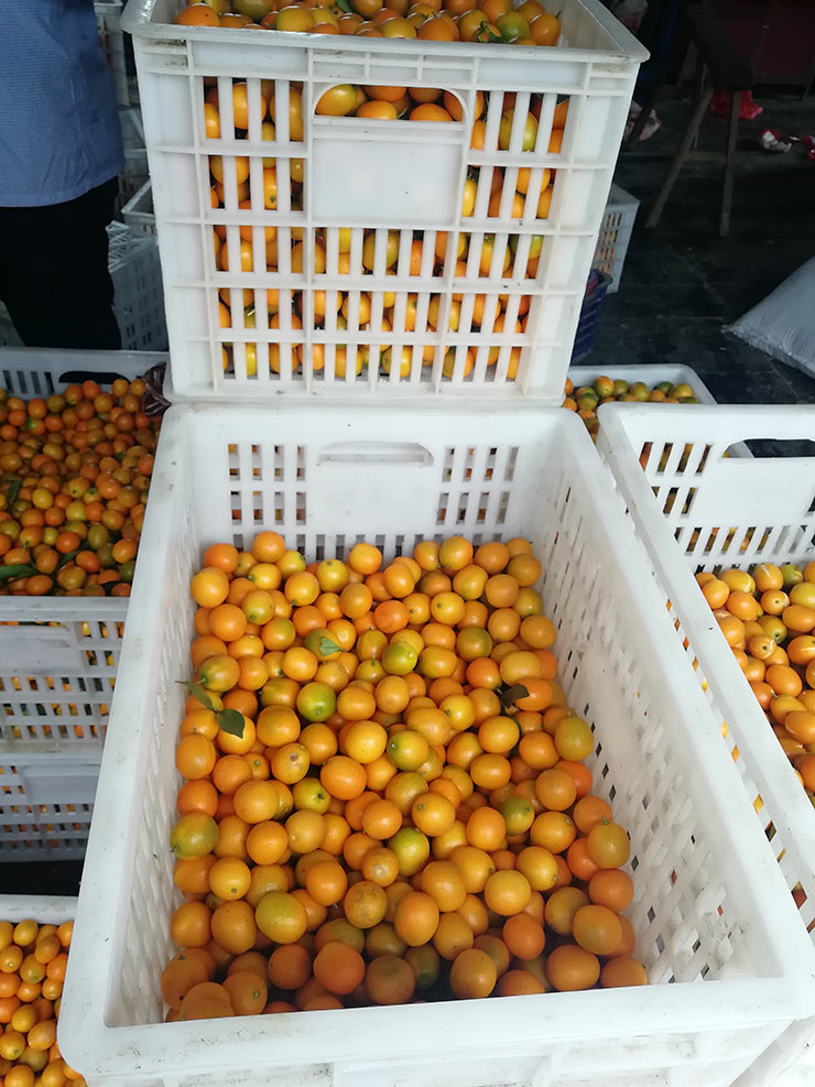 鉴黑担保网(jhdbw)·最具权威唯一维权担保平台