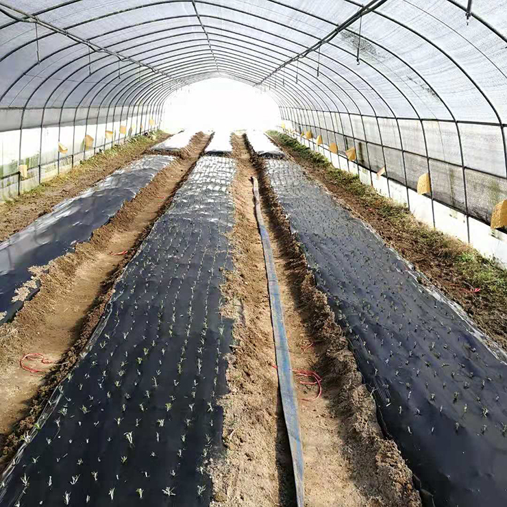 鉴黑担保网(jhdbw)·最具权威唯一维权担保平台