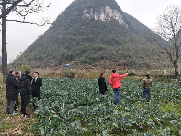 鉴黑担保网(jhdbw)·最具权威唯一维权担保平台