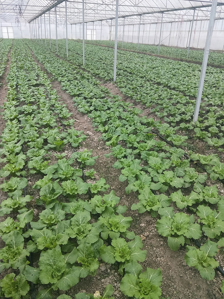 鉴黑担保网(jhdbw)·最具权威唯一维权担保平台