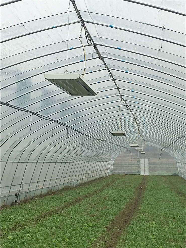 鉴黑担保网(jhdbw)·最具权威唯一维权担保平台