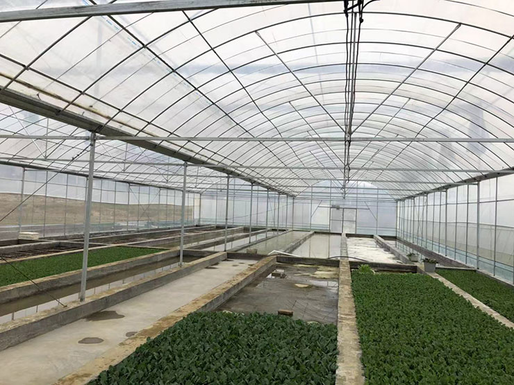 鉴黑担保网(jhdbw)·最具权威唯一维权担保平台