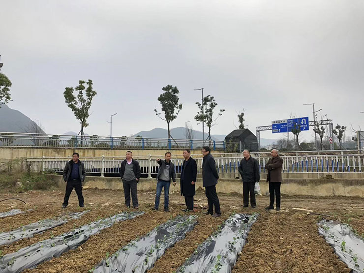 鉴黑担保网(jhdbw)·最具权威唯一维权担保平台