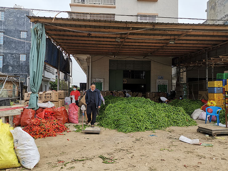 鉴黑担保网(jhdbw)·最具权威唯一维权担保平台