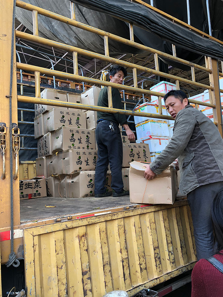 鉴黑担保网(jhdbw)·最具权威唯一维权担保平台