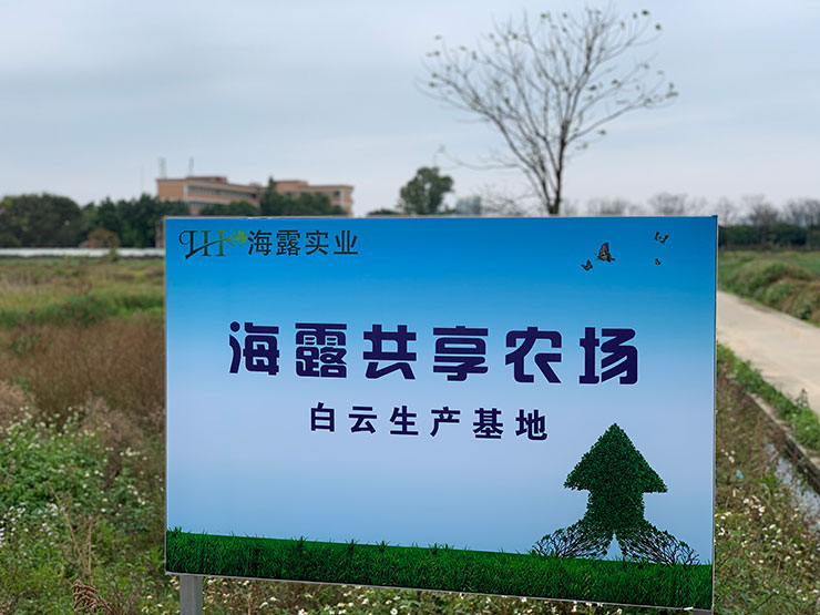 鉴黑担保网(jhdbw)·最具权威唯一维权担保平台