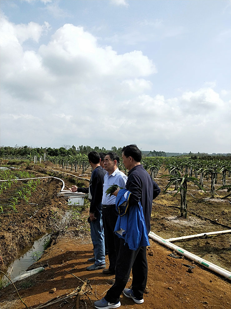 鉴黑担保网(jhdbw)·最具权威唯一维权担保平台