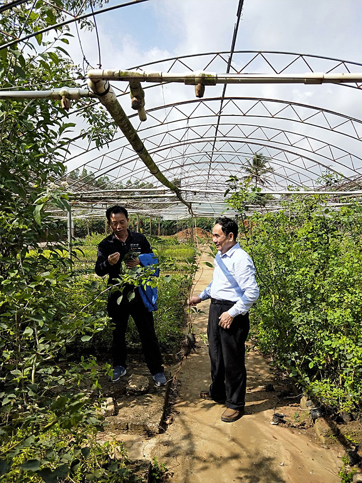 鉴黑担保网(jhdbw)·最具权威唯一维权担保平台