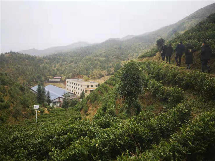 鉴黑担保网(jhdbw)·最具权威唯一维权担保平台