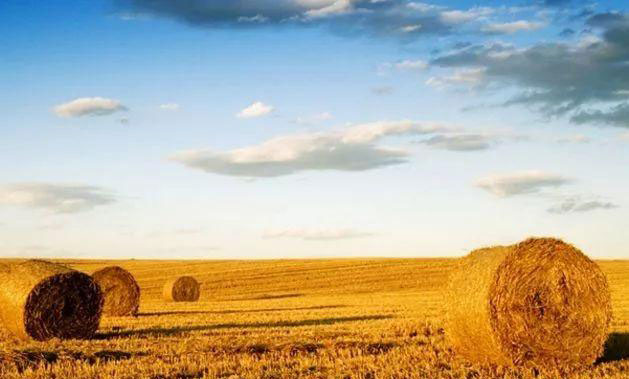 鉴黑担保网(jhdbw)·最具权威唯一维权担保平台