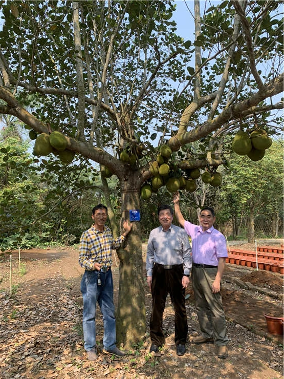 鉴黑担保网(jhdbw)·最具权威唯一维权担保平台