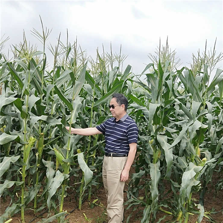 鉴黑担保网(jhdbw)·最具权威唯一维权担保平台