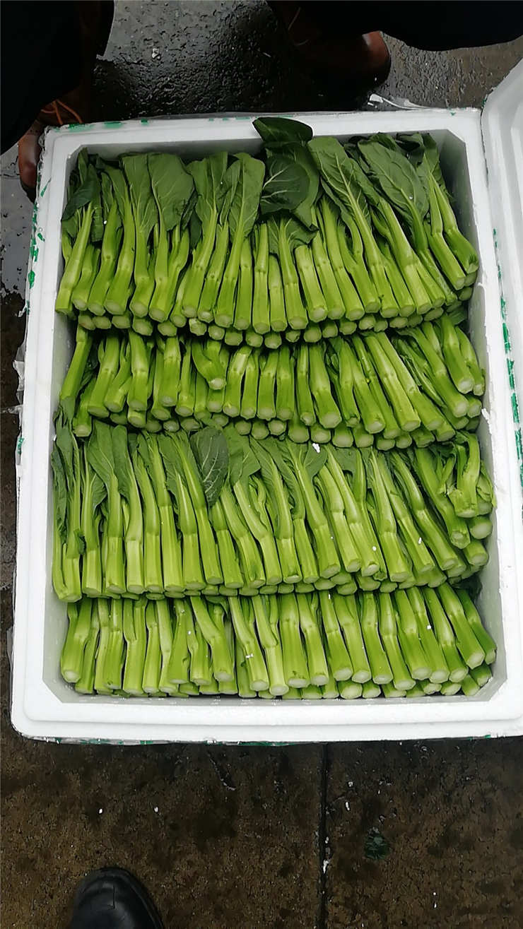 鉴黑担保网(jhdbw)·最具权威唯一维权担保平台