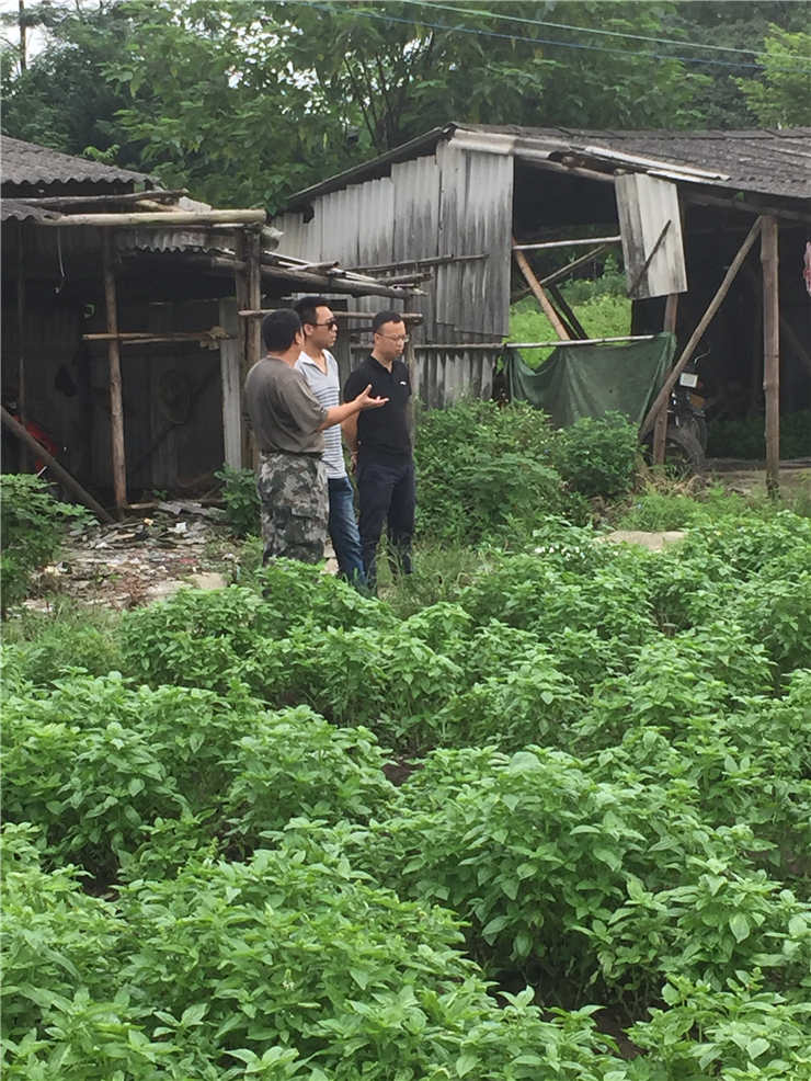 鉴黑担保网(jhdbw)·最具权威唯一维权担保平台