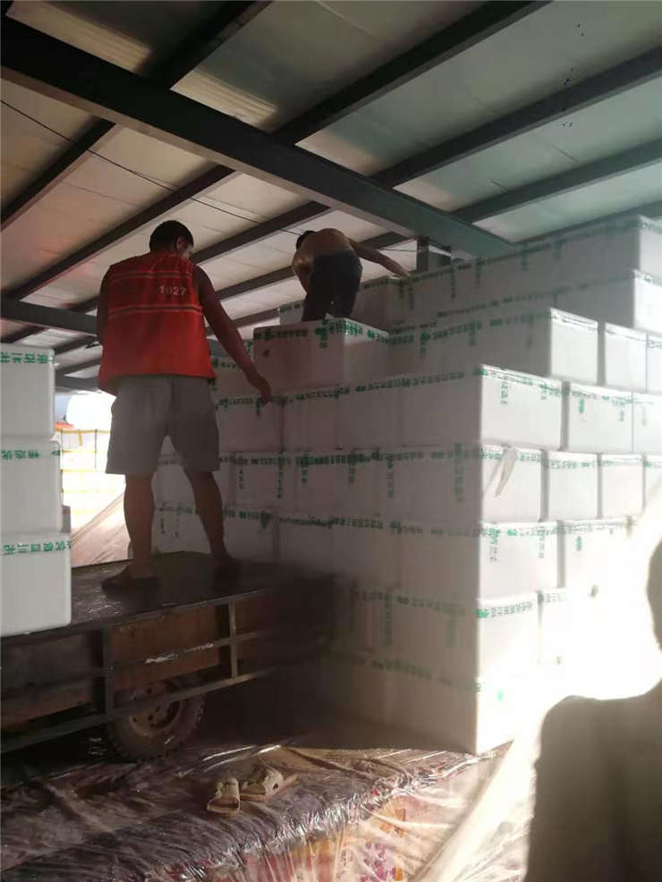 鉴黑担保网(jhdbw)·最具权威唯一维权担保平台