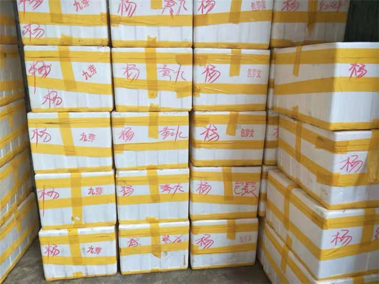 鉴黑担保网(jhdbw)·最具权威唯一维权担保平台