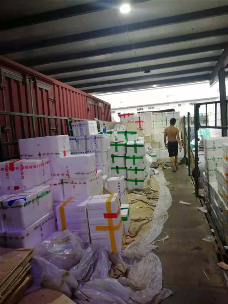 鉴黑担保网(jhdbw)·最具权威唯一维权担保平台