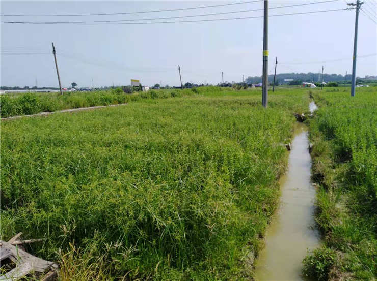 鉴黑担保网(jhdbw)·最具权威唯一维权担保平台