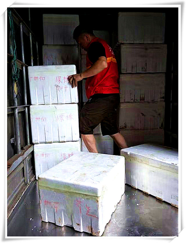 鉴黑担保网(jhdbw)·最具权威唯一维权担保平台