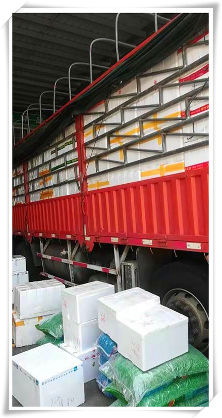 鉴黑担保网(jhdbw)·最具权威唯一维权担保平台