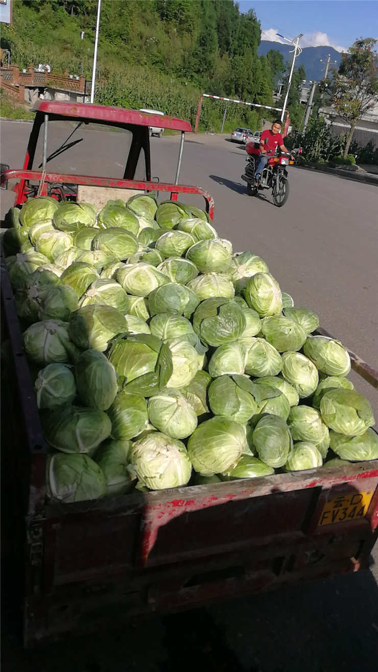 鉴黑担保网(jhdbw)·最具权威唯一维权担保平台