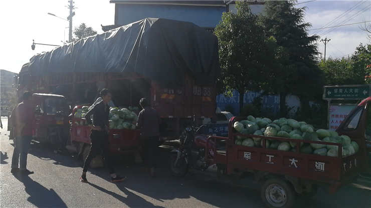 鉴黑担保网(jhdbw)·最具权威唯一维权担保平台