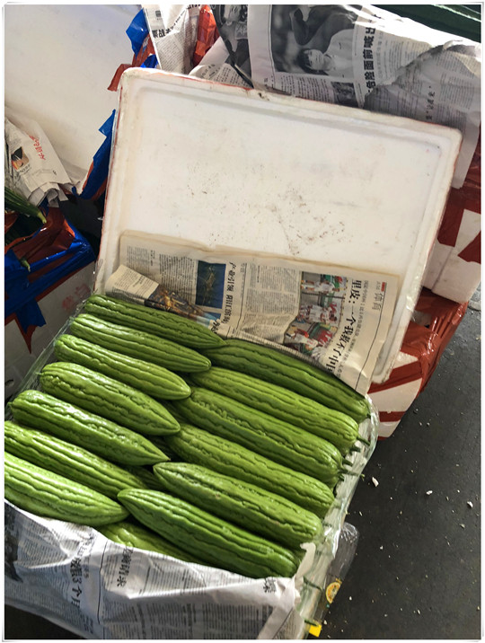 鉴黑担保网(jhdbw)·最具权威唯一维权担保平台