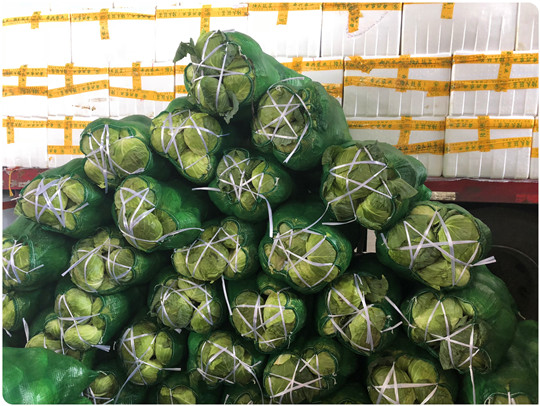 鉴黑担保网(jhdbw)·最具权威唯一维权担保平台