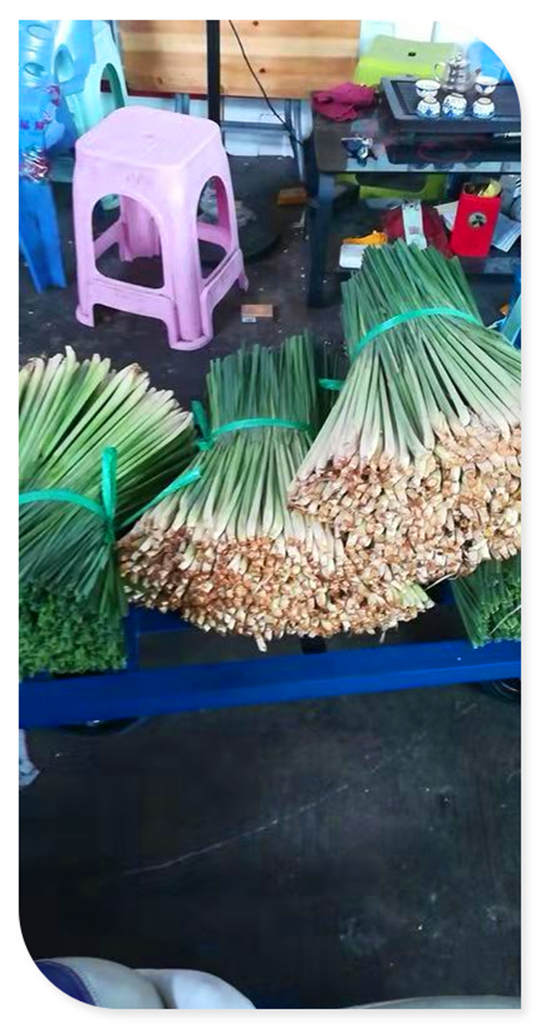 鉴黑担保网(jhdbw)·最具权威唯一维权担保平台