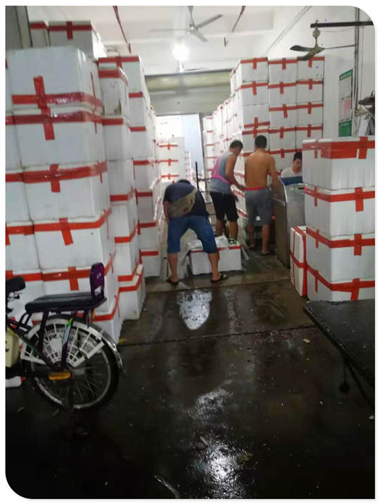 鉴黑担保网(jhdbw)·最具权威唯一维权担保平台