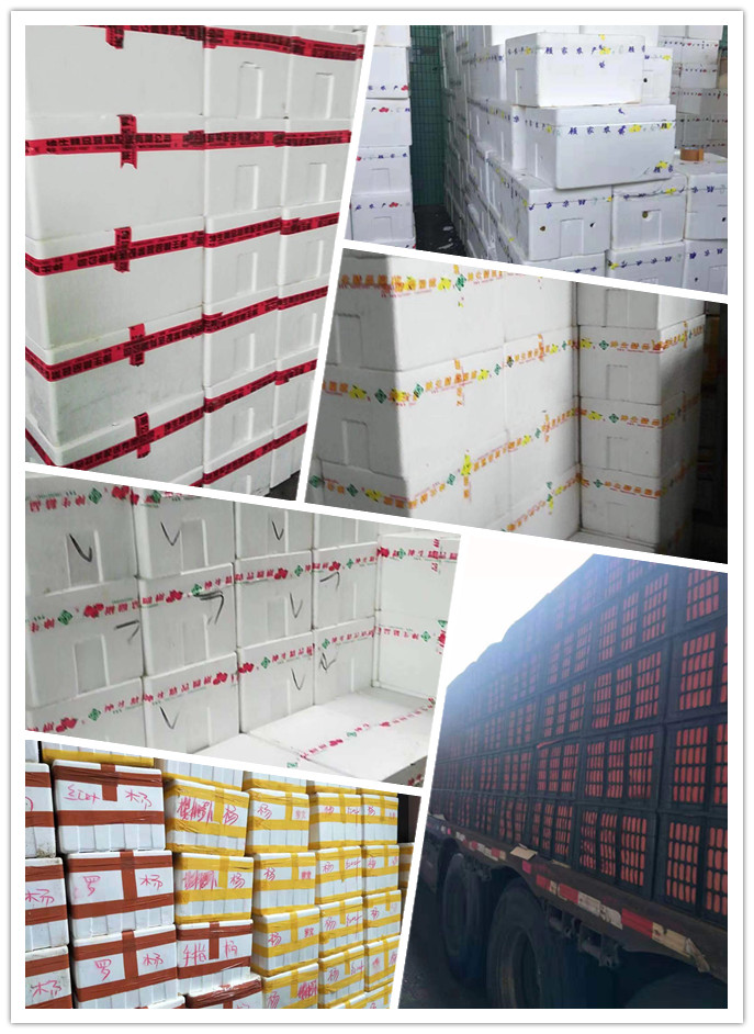 鉴黑担保网(jhdbw)·最具权威唯一维权担保平台