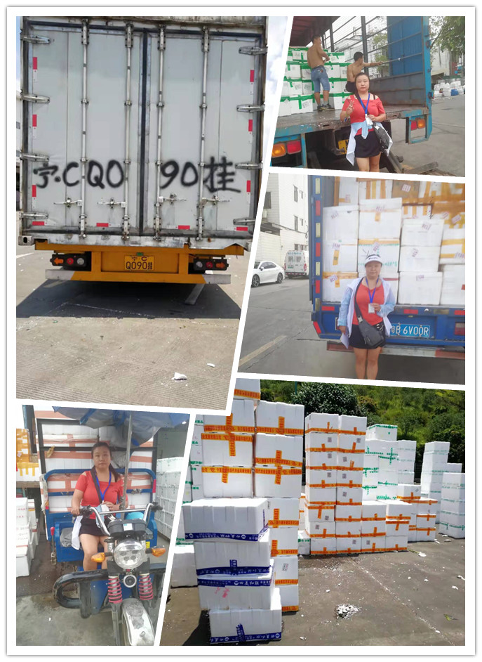 鉴黑担保网(jhdbw)·最具权威唯一维权担保平台