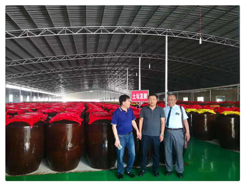 鉴黑担保网(jhdbw)·最具权威唯一维权担保平台