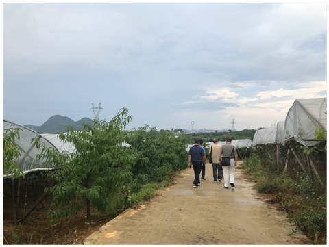 鉴黑担保网(jhdbw)·最具权威唯一维权担保平台