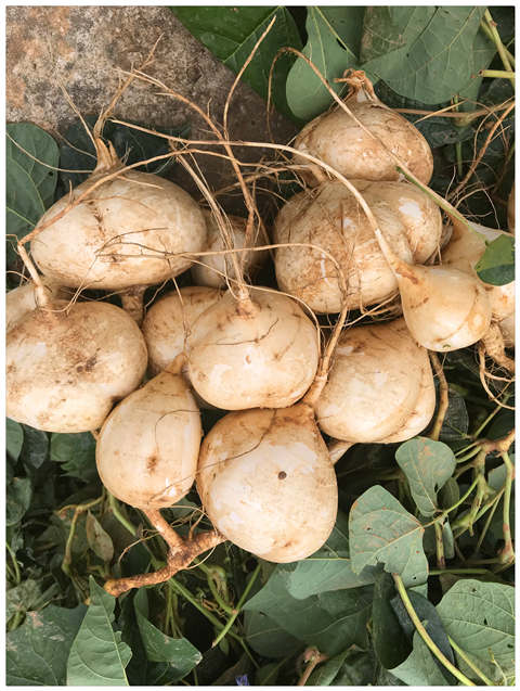 鉴黑担保网(jhdbw)·最具权威唯一维权担保平台