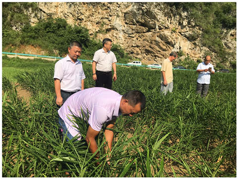 鉴黑担保网(jhdbw)·最具权威唯一维权担保平台