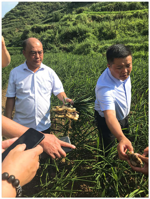 鉴黑担保网(jhdbw)·最具权威唯一维权担保平台