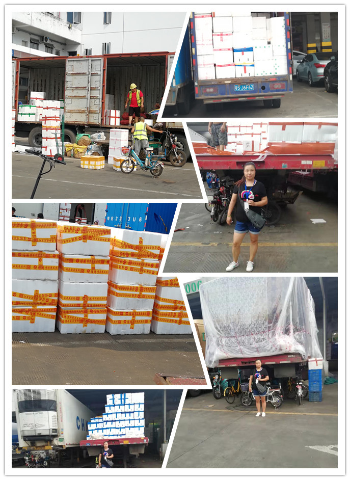 鉴黑担保网(jhdbw)·最具权威唯一维权担保平台