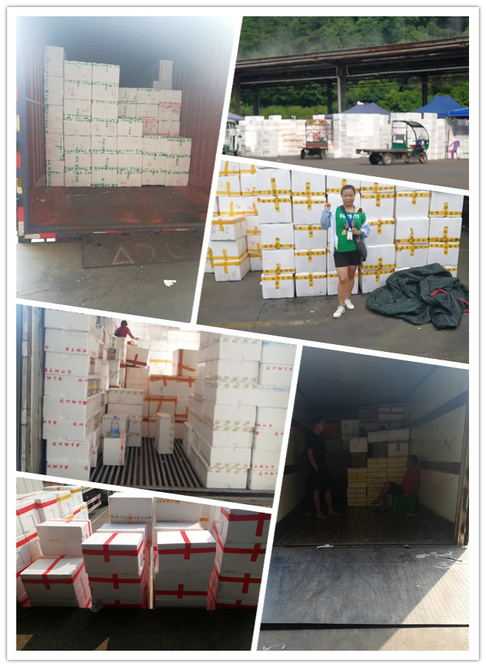 鉴黑担保网(jhdbw)·最具权威唯一维权担保平台