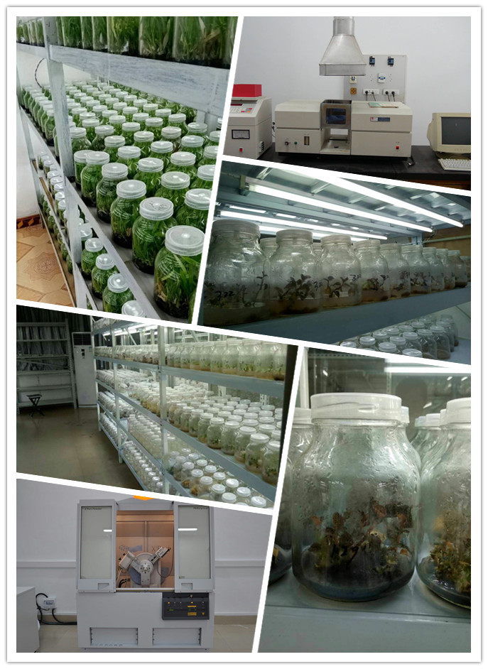 鉴黑担保网(jhdbw)·最具权威唯一维权担保平台