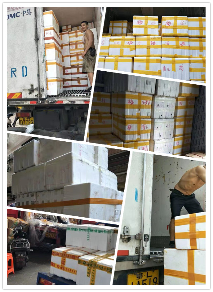 鉴黑担保网(jhdbw)·最具权威唯一维权担保平台