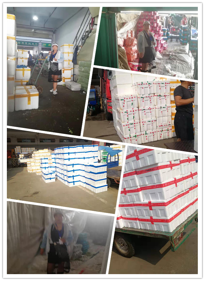 鉴黑担保网(jhdbw)·最具权威唯一维权担保平台