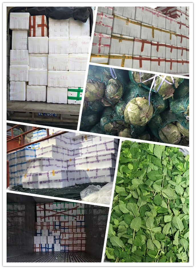 鉴黑担保网(jhdbw)·最具权威唯一维权担保平台